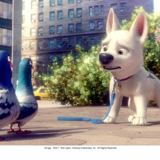 Bolt Picture 22