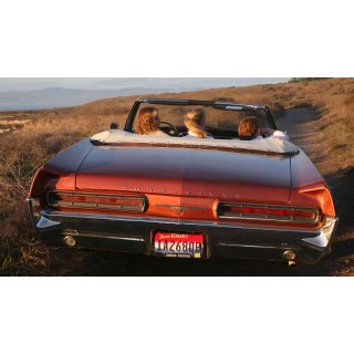Bonneville Picture 3