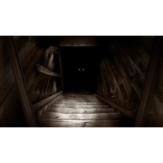 Boogeyman, The Picture 1