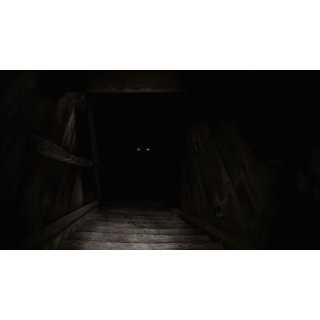 Boogeyman, The Picture 5