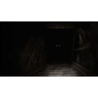 Boogeyman, The Picture 6