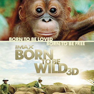 Born to Be Wild Picture 1