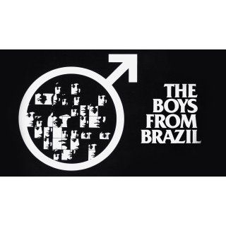 Boys From Brazil, The Picture 6