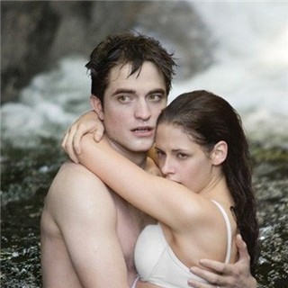 Twilight Saga's Breaking Dawn Part I, The Picture 58