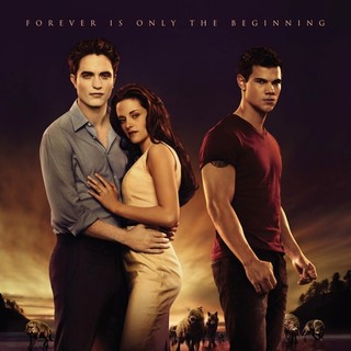 Twilight Saga's Breaking Dawn Part I, The Picture 66