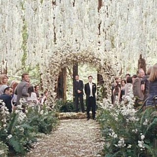 Twilight Saga's Breaking Dawn Part I, The Picture 23