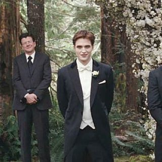 Twilight Saga's Breaking Dawn Part I, The Picture 26