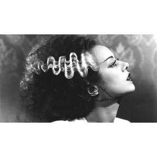 Bride Of Frankenstein Picture 2