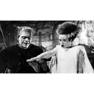 Bride Of Frankenstein Picture 4