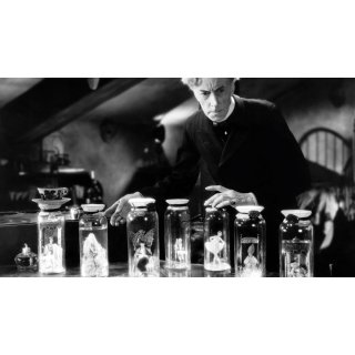 Bride Of Frankenstein Picture 9