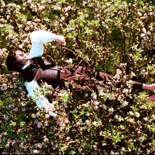 Bright Star Picture 2