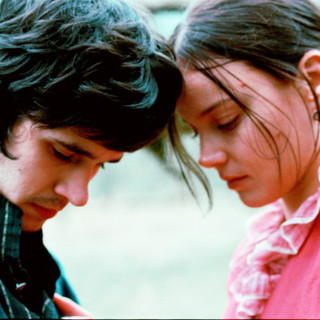 Bright Star Picture 4
