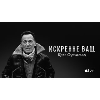 Bruce Springsteen's Letter To You Picture 7