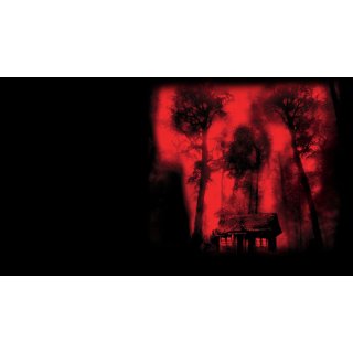 Cabin Fever (2003)