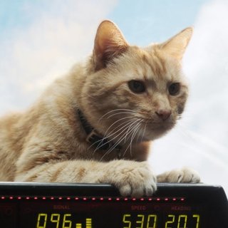 Captain Marvel Picture 38