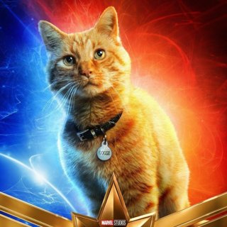 Captain Marvel Picture 15