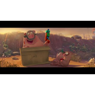Cardboard (1970)