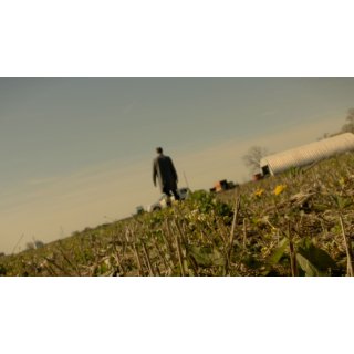 Cases (2026)