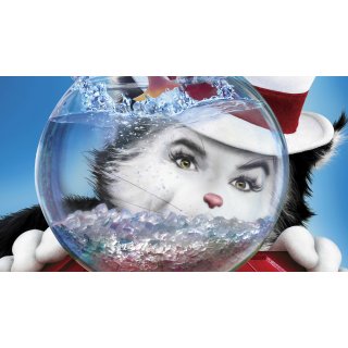 Cat In The Hat, The Picture 2