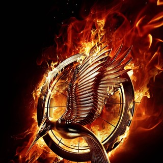 Hunger Games: Catching Fire, The Picture 1