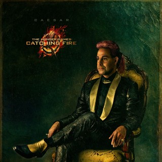 Hunger Games: Catching Fire, The Picture 8