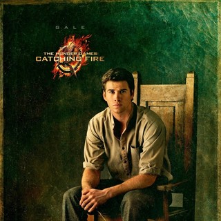 Hunger Games: Catching Fire, The Picture 15
