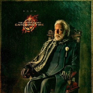 Hunger Games: Catching Fire, The Picture 17
