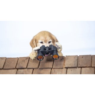Cats & Dogs 3: Paws Unite! (2020)