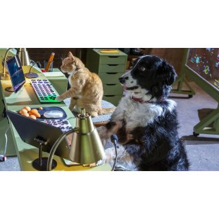 Cats & Dogs 3: Paws Unite! (2020)