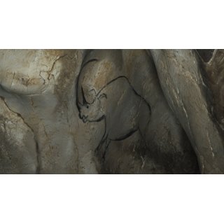 Cave of Forgotten Dreams (2011)