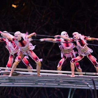 Cirque Du Soleil: Worlds Away Picture 17