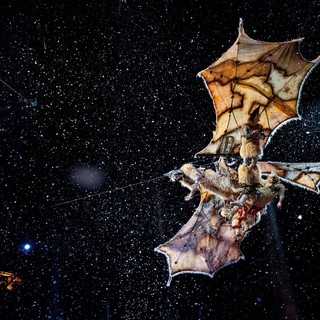 Cirque Du Soleil: Worlds Away Picture 5