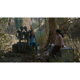 Cemetery of Splendor (2016)