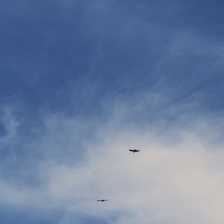 Certainties Picture 3