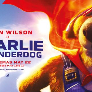 Charlie The Wonderdog Picture 10