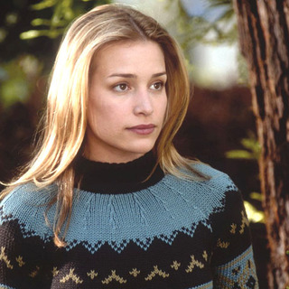 Piper Perabo as Nora Baker in The 20th Century Fox' Cheaper by the Dozen (2003)