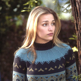 Piper Perabo as Nora Baker in The 20th Century Fox' Cheaper by the Dozen (2003)