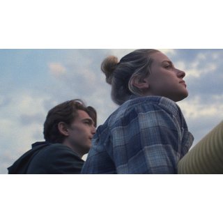 Chemical Hearts Picture 1