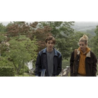 Chemical Hearts Picture 5