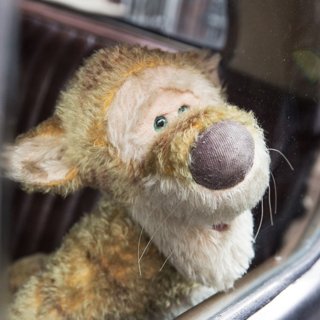 Christopher Robin Picture 7