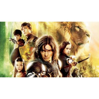 Chronicles Of Narnia: Prince Caspian, The Picture 6