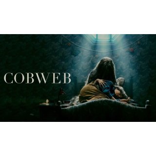 Cobweb Picture 10