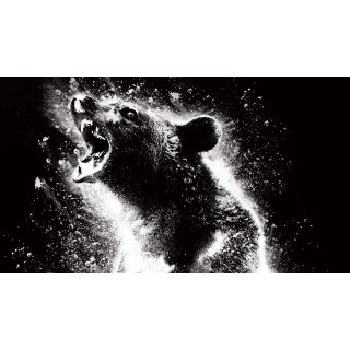 Cocaine Bear (2023)