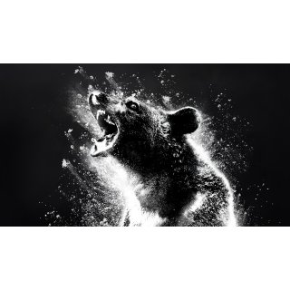 Cocaine Bear (2023)