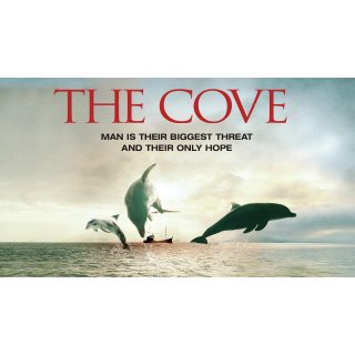 Cove, The Picture 3