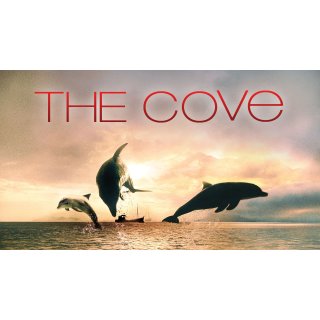 Cove, The Picture 4