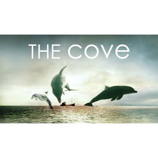 Cove, The Picture 8