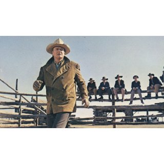 Cowboys, The Picture 3