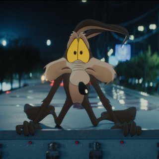 Coyote Vs. Acme Picture 4