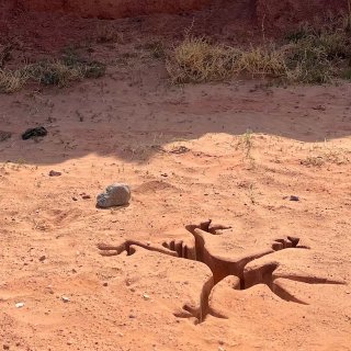 Coyote Vs. Acme Picture 9